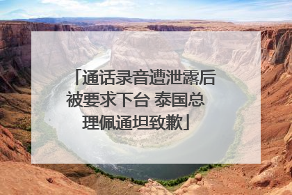 通话录音遭泄露后被要求下台 泰国总理佩通坦致歉